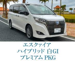 エスクァイア ハイブリッド GI プレミアムPKG